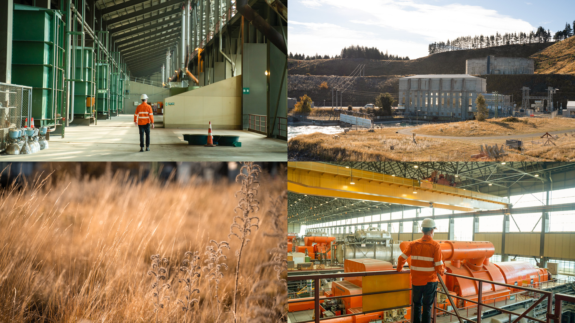 Genesis internal brand pride