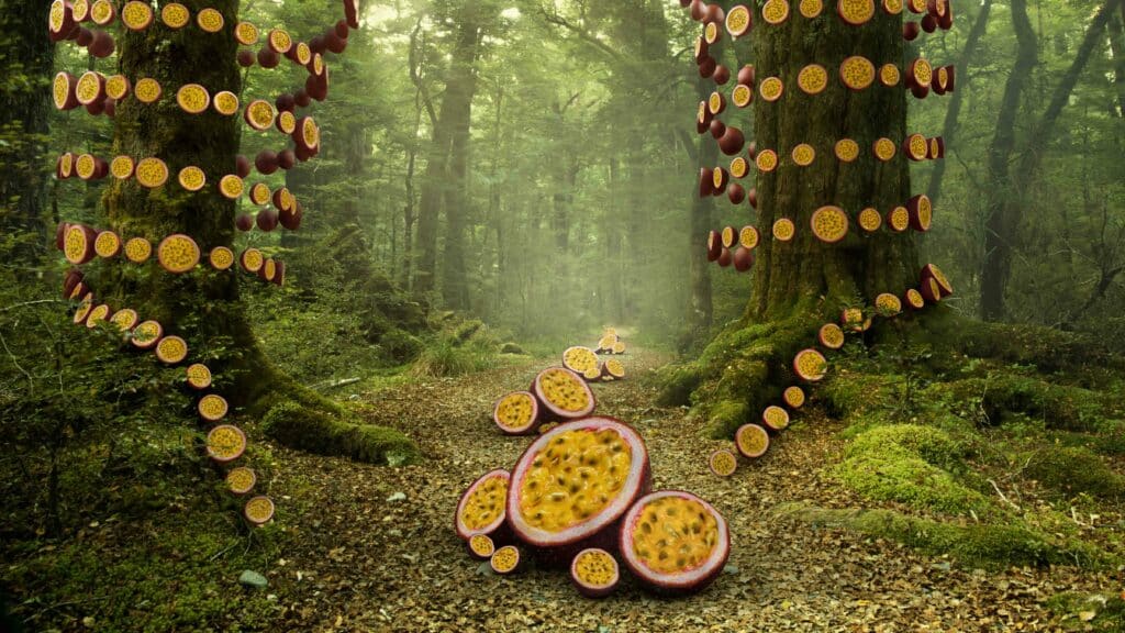 A surrealistic image depicting multiple pomegranate fruits in a forest spiralling around tree trunks.